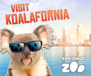 Visit Koalafornia at the San Diego Zoo